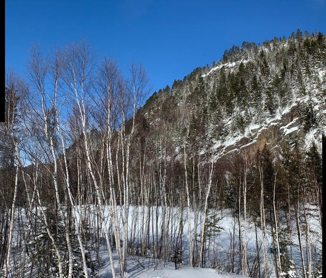 Condo Mont-Edouard LʼAnse-Saint-Jean المظهر الخارجي الصورة